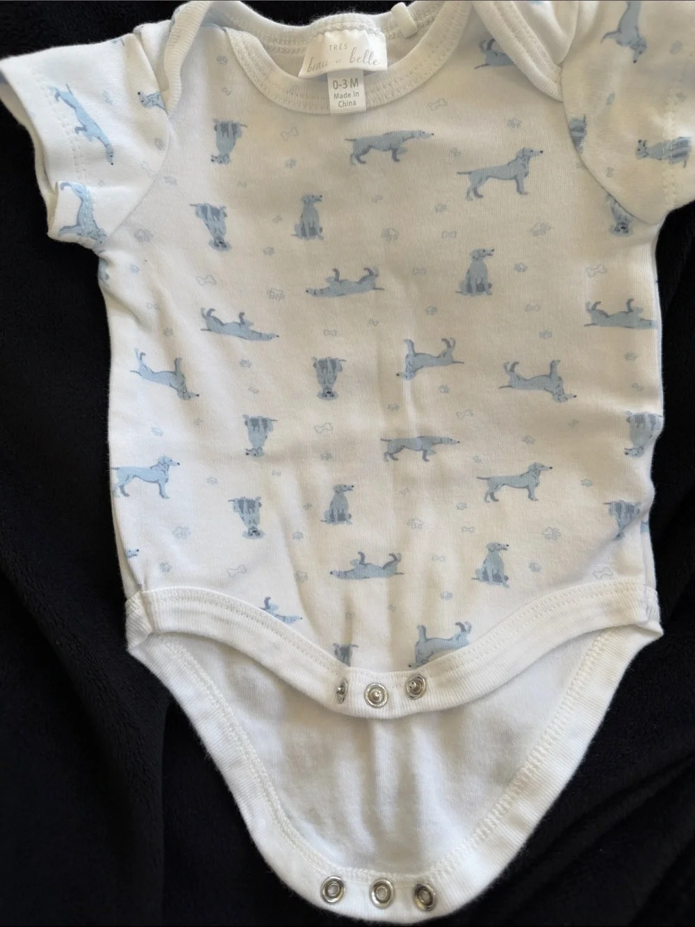 Beau et Belle Baby One-Piece Bodysuit in Light Blue Puppy Print